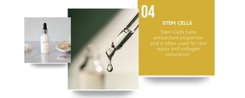 Branch Newsletter Image