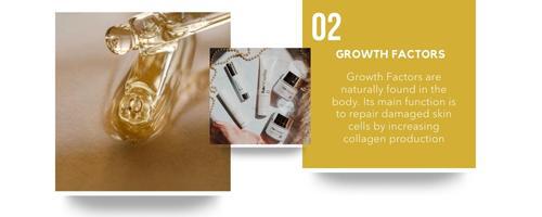 Branch Newsletter Image